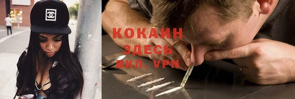 индика Армянск