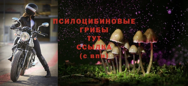 соль курить ск Аркадак