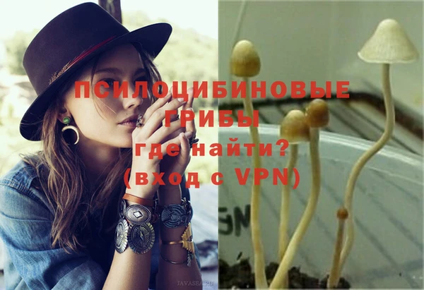 индика Армянск