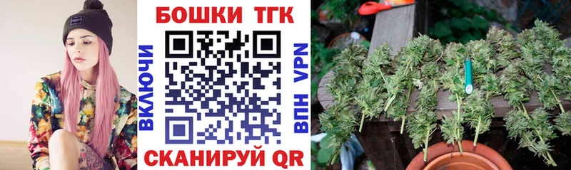 darknet клад  Ясногорск  Бошки марихуана семена 